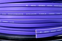 Digital G12